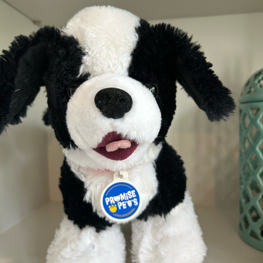 🧸 
Build-A-Bear Promise Pets Black & White Puppy – Plush Dog with Collar & Tag